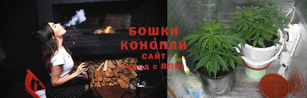 спиды Ладушкин