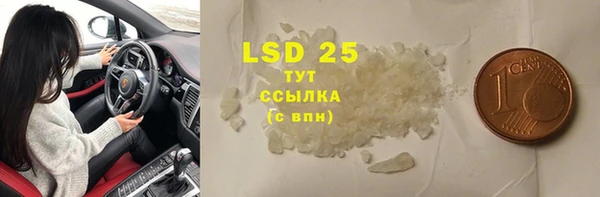 спиды Ладушкин