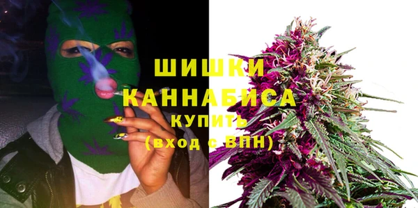 ПСИЛОЦИБИНОВЫЕ ГРИБЫ Липки