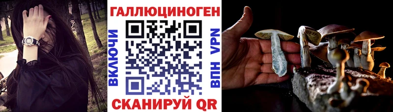 mega маркетплейс  продажа наркотиков  Мелеуз  Псилоцибиновые грибы ЛСД 