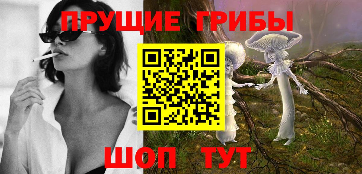 Псилоцибиновые грибы мицелий Мелеуз